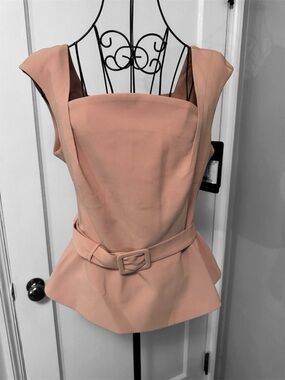 Elegant Pink Peplum Top and Skirt Set NWT BGL Size XL (approx 10/12)
